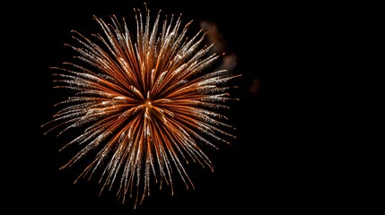 Fireworks burst against a dark night sky.