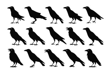 Raven Silhouette Collection: A compelling collection of raven silhouettes, striking with their simplicity, capturing a sense of mystique and stark beauty, perfect for adding a touch of the dramatic.