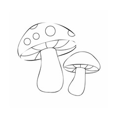 Two spotted mushrooms fungi nature