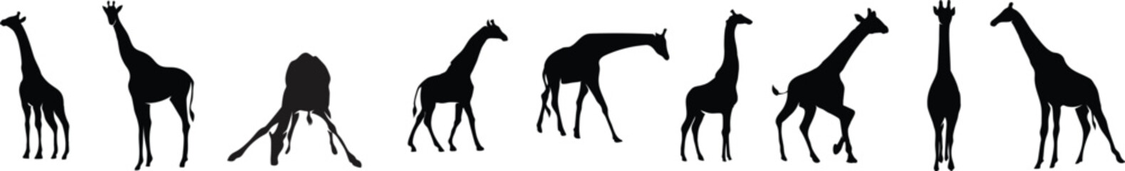animals silhouette set design 