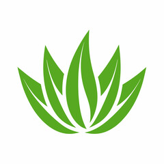 Aloe Vera Plant Vector Icon for Herbal and Skincare Design.