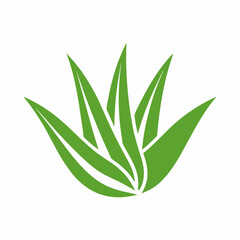 Aloe Vera Plant Vector Icon for Herbal and Skincare Design.