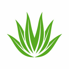 Aloe Vera Plant Vector Icon for Herbal and Skincare Design.