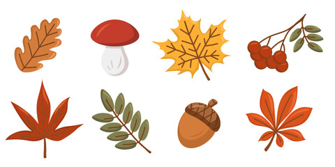 Autumn forest nature with colorful fall leaves, berries, mushrooms. Cartoon vector isolated illustration