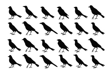 Crow Silhouette Pattern: An organized arrangement of crow silhouettes creates a visually striking pattern, perfect for adding a touch of dark elegance.