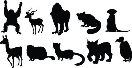 silhouettes of animals set 