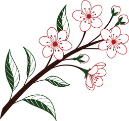Elegant cherry blossom branch with delicate red-outlined flowers and green leaves, perfect for spring floral design, botanical art, and decorative nature illustration projects.