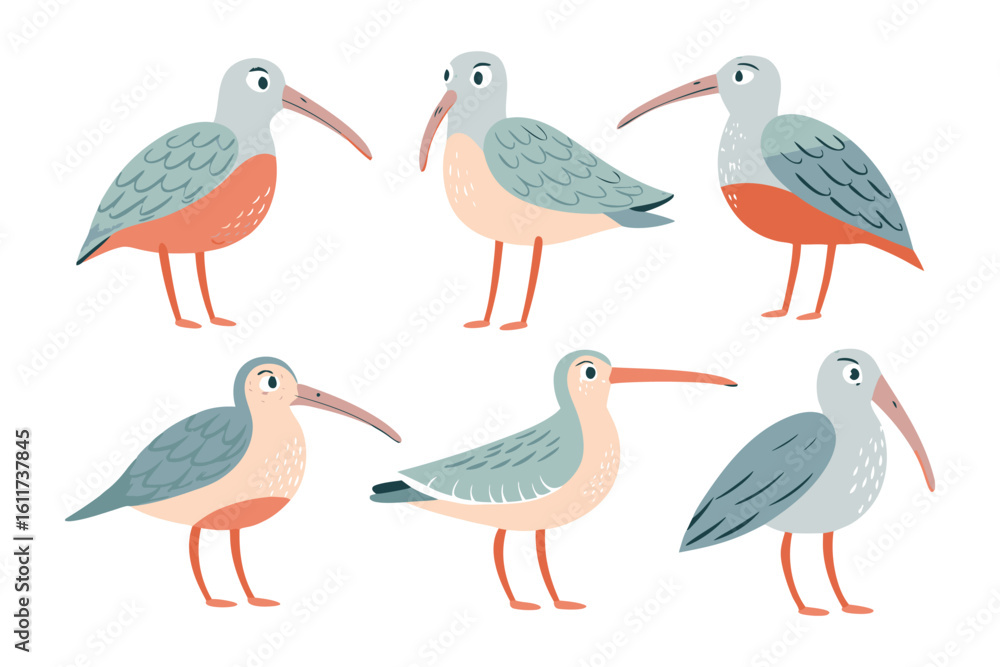 Poster unique bird collection: an array of charming illustrations showcases a collection of uniquely design