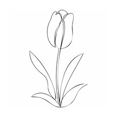 Single line drawing of a tulip flower black and white