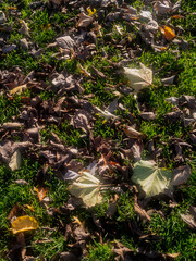 Edinburgh, Scotland, United Kingdom