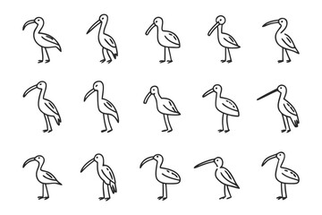 Bird Illustration: A meticulously crafted minimalist line art illustration of a collection of wading bird icons. Designed for graphic applications and thematic versatility