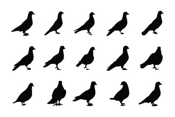 Pigeon Silhouette Array: A monochromatic array of pigeon silhouettes elegantly arranged, capturing the essence of grace and poise of the birds in a simple yet visually striking style.