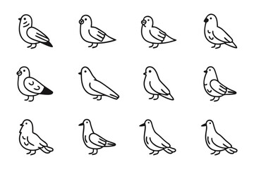 Pigeon Illustrations: A series of charming line art illustrations of pigeons, perfect for adding a touch of whimsy and simplicity to any design. Showcasing the graceful form of these urban birds.