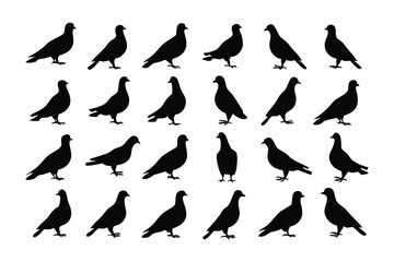 Silhouette Pigeons in Flight: A captivating collection of silhouettes of pigeons, gracefully captured in flight, evoking a sense of freedom and elegance with their minimalist aesthetic.