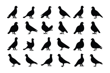 Birds Silhouette Array: A striking silhouette array showcases a gathering of birds. The monochrome display offers a minimalist and impactful aesthetic, perfect for design or thematic projects.