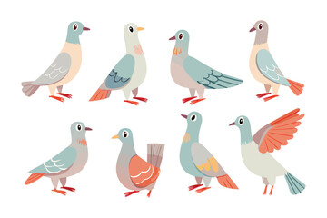 Pigeon Illustration Collection: A charming illustrated collection of pigeons, captured in various poses and perspectives, showcasing their unique characteristics and delicate features.