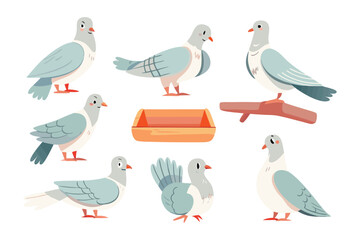 Pigeons Illustration: An illustration showcasing different depictions of pigeons and wooden bird feeder, set in a vibrant scene.