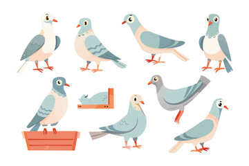 Pigeons in Artistic Perspective: A whimsical assortment of pigeons presented in a charming illustrated style. Each bird is rendered with unique characteristics.