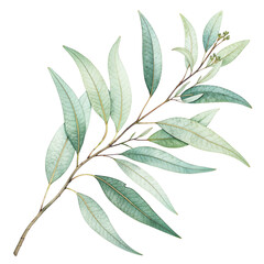 Hand-Painted Green Eucalyptus Leaves Branch Illustration on Transparent Background Ai-Generated