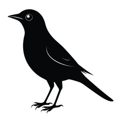 Obraz premium Elegant nightingale silhouette bird illustration for design projects isolated on white background