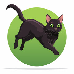 Obraz premium Animated black cat leaps against a vibrant green circle, full of playful energy