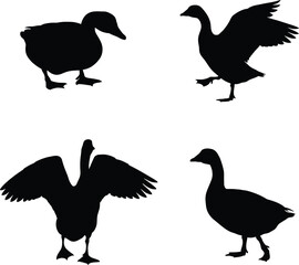Duck silhouette set collection isolated on white background vector illustration