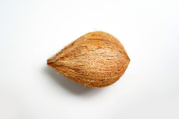 Coconut Isolated on Plain White Background.