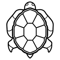 Fototapeta premium A turtle shell is displayed, isolated on white background, showcasing its unique pattern