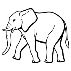 An elephant is walking, isolated on white background, showcasing its large trunk and tusks