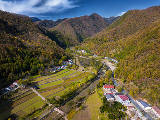 forest scene in Liuba, Shaanxi, China