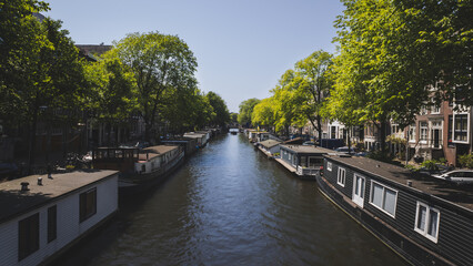 Fototapeta premium Amsterdam canal with housing boats, green trees and blue sky