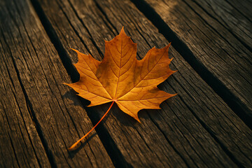 Obraz premium Vibrant orange maple leaf with detailed veins resting on weathered wooden deck planks