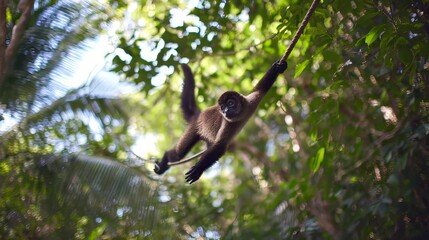 Agile Monkey Swinging Through Rainforest Canopy in Mid-Motion Action Scene