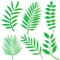 Green leaf flat vector set, line drawing vector leaf.Abstract leaf Art design for print