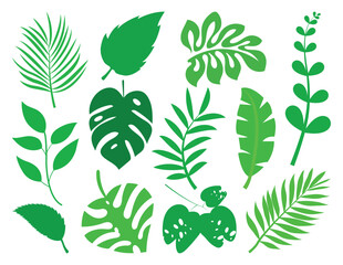 Green leaf flat vector set, line drawing vector leaf.Abstract leaf Art design for print, cover, wallpaper