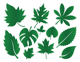 Green Line drawing vector leaf. Abstract leaf Art design. Vector flat design leaf silhouettes illustration