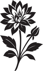 Dahlia flower silhouette with bud and leaves, Floral black and white vector art