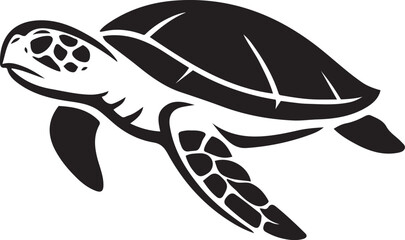 Sea turtle on white background illustration, Black aquatic reptile vector