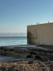 Pier with Wall and Birds Perched

