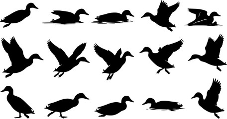 Obraz premium Set of duck silhouette vector illustration 