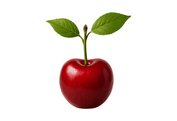 Single red cherry with green leaves isolated on transparent background