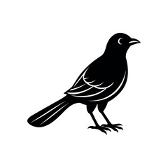A cotinga Bird's silhouette art vector illustration.