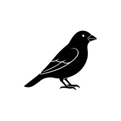 Fototapeta premium A crossbill Bird's silhouette art vector illustration.