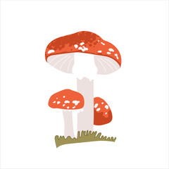 A vibrant illustration of classic red and white spotted fly agaric mushrooms growing on a patch of grass. Perfect for nature, fantasy, or children's themes