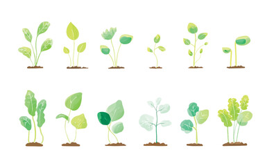 Watercolor seedlings and young plants arranged on a white background representing growth and natural beauty in spring time garden