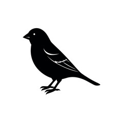 A siskin Bird's silhouette art vector illustration.