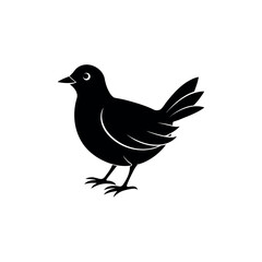 A sora Bird's silhouette art vector illustration.