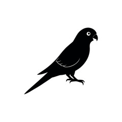 Fototapeta premium A swift parrot Bird's silhouette art vector illustration.