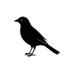 Obraz premium A waxwing Bird's silhouette art vector illustration.