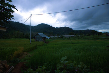 Rural Landscape with Small House, Green Fields, and Tree-Covered Hills under Cloudy Sky